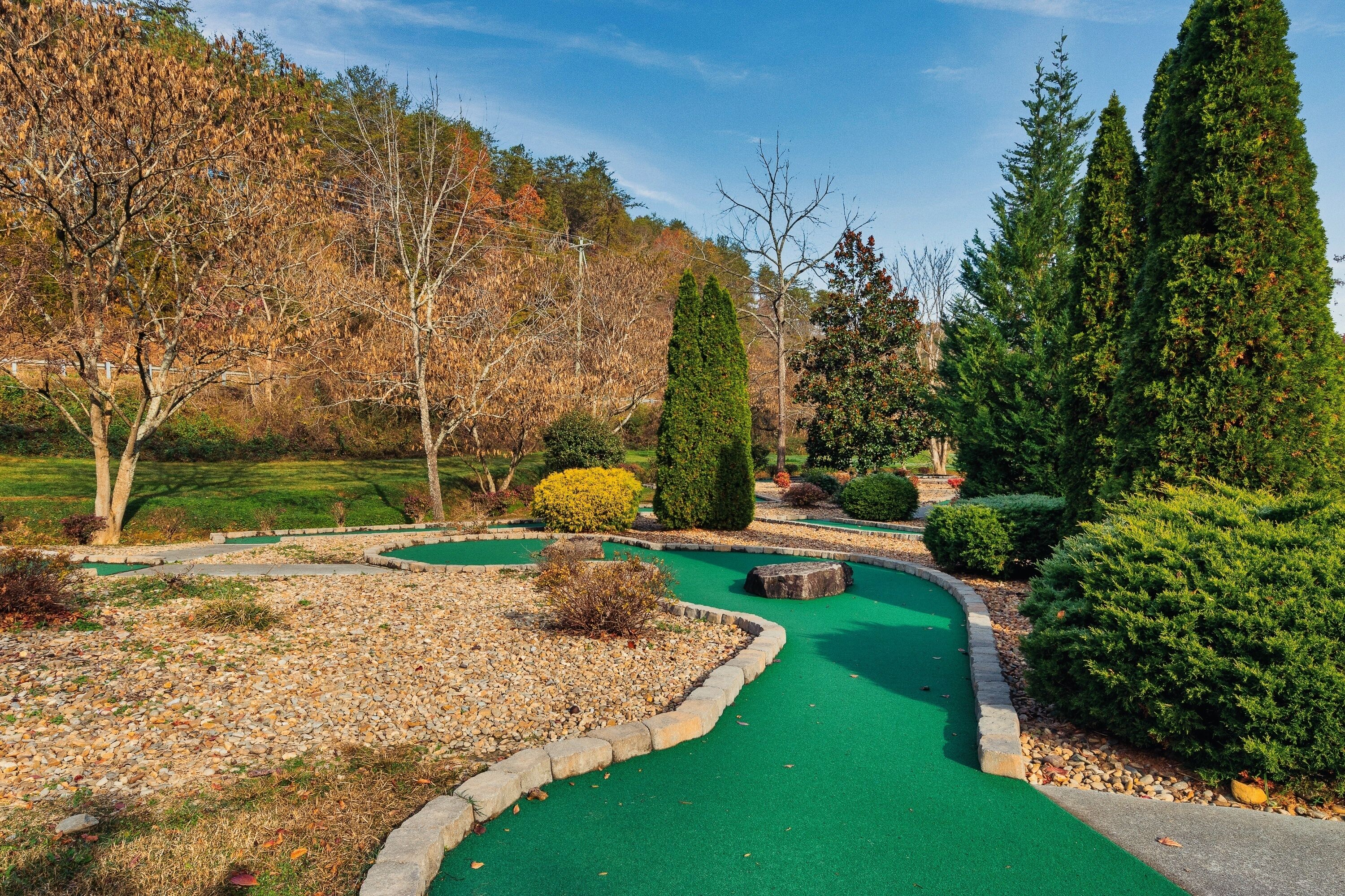 Um campo de golfe com uma área de putting verde, rodeado por árvores e arbustos.