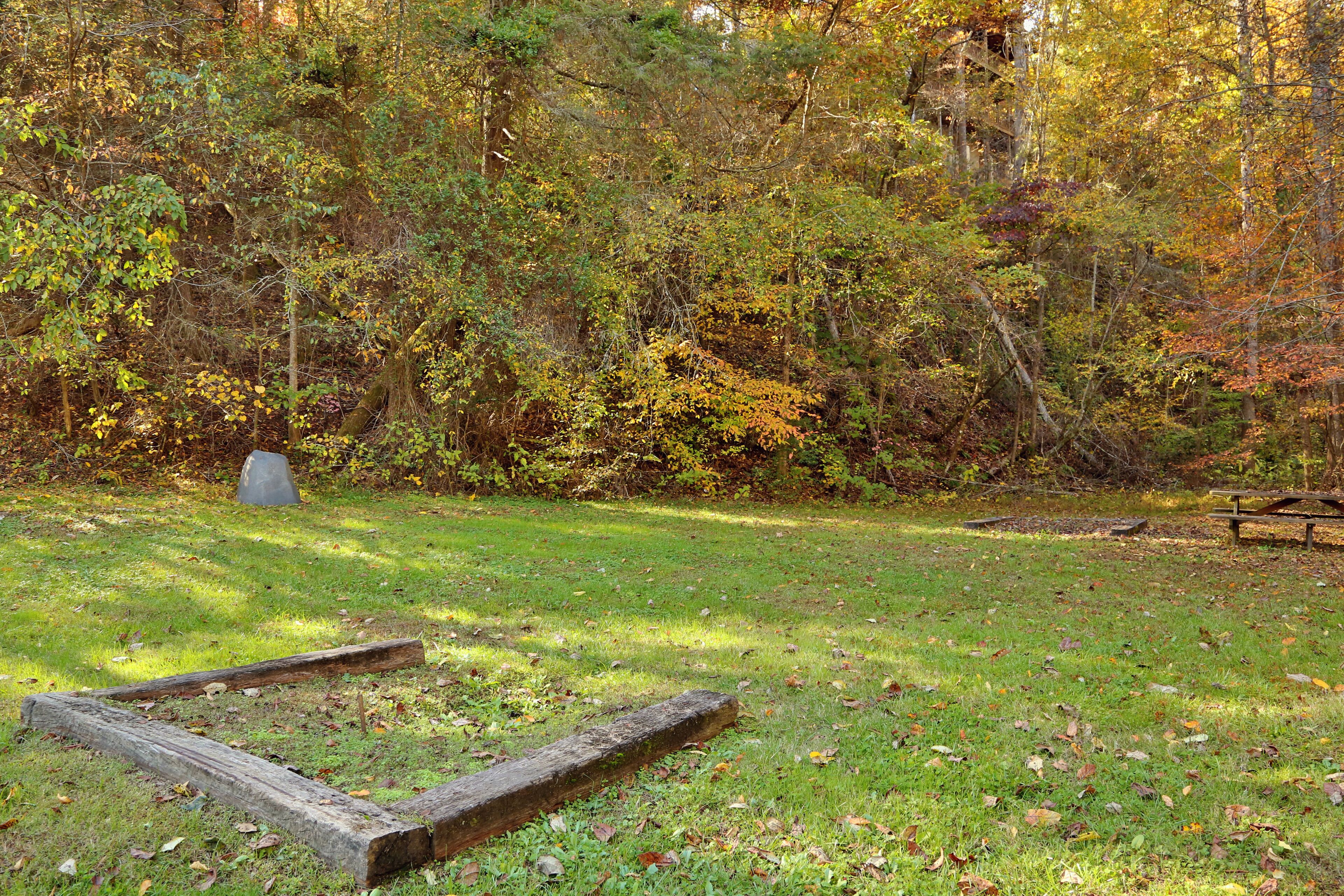 A park with a picnic table and benches, surrounded by dense trees and grassy areas.