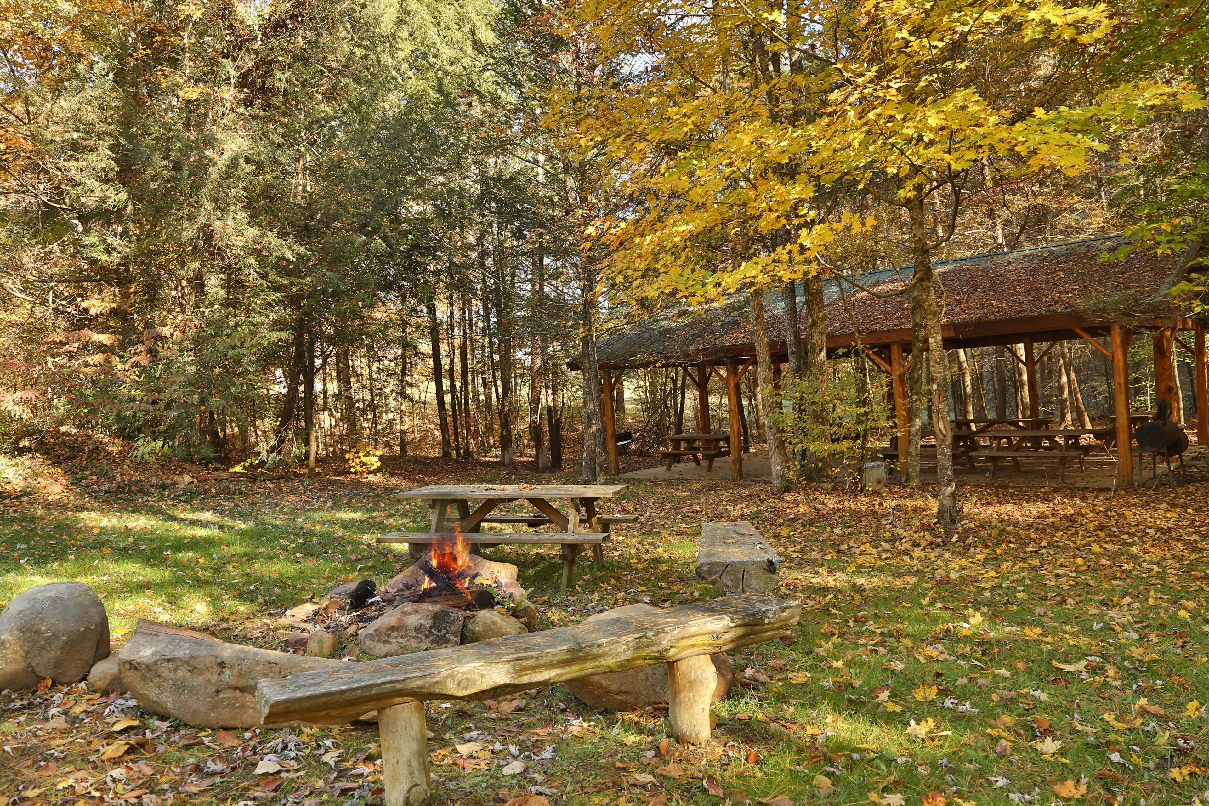 A rustic outdoor setting with a fire pit, picnic table, and wooden shelter in a forested area.