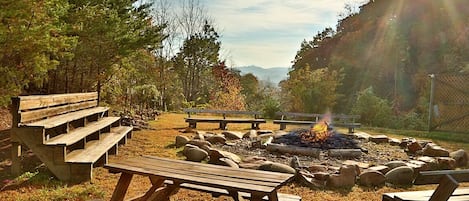 Een camping met picknicktafels, een vuurkuil en een natuurlandschap met bomen en een uitzicht op een berg in de verte.
