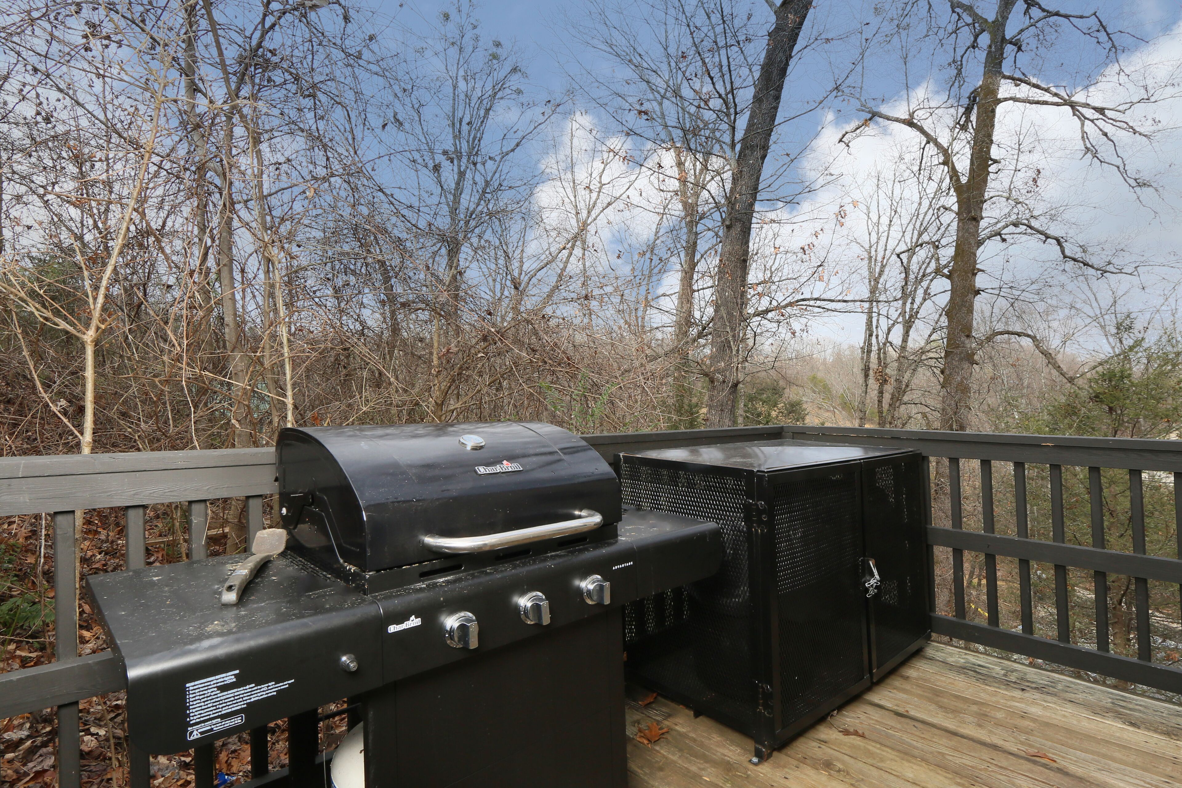 Una parrilla de barbacoa en una terraza de madera, con vistas a árboles sin hojas y un cielo despejado.