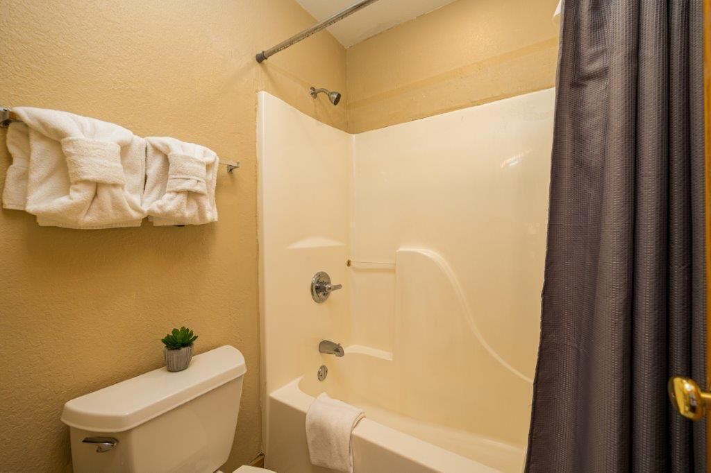 A small bathroom with a toilet, a bathtub, and a shower curtain.