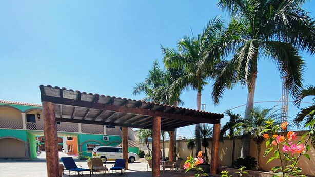 A swimming pool with a pergola, lounge chairs, and a potted plant with pink flowers.