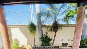 A covered outdoor patio with a wooden table and benches, surrounded by palm trees and potted plants.