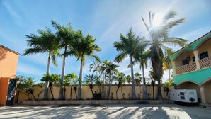 A courtyard with palm trees, a concrete floor, and a building with a green facade.