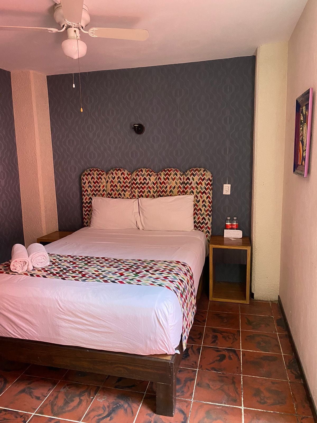 Foto - Hotel Flamingos