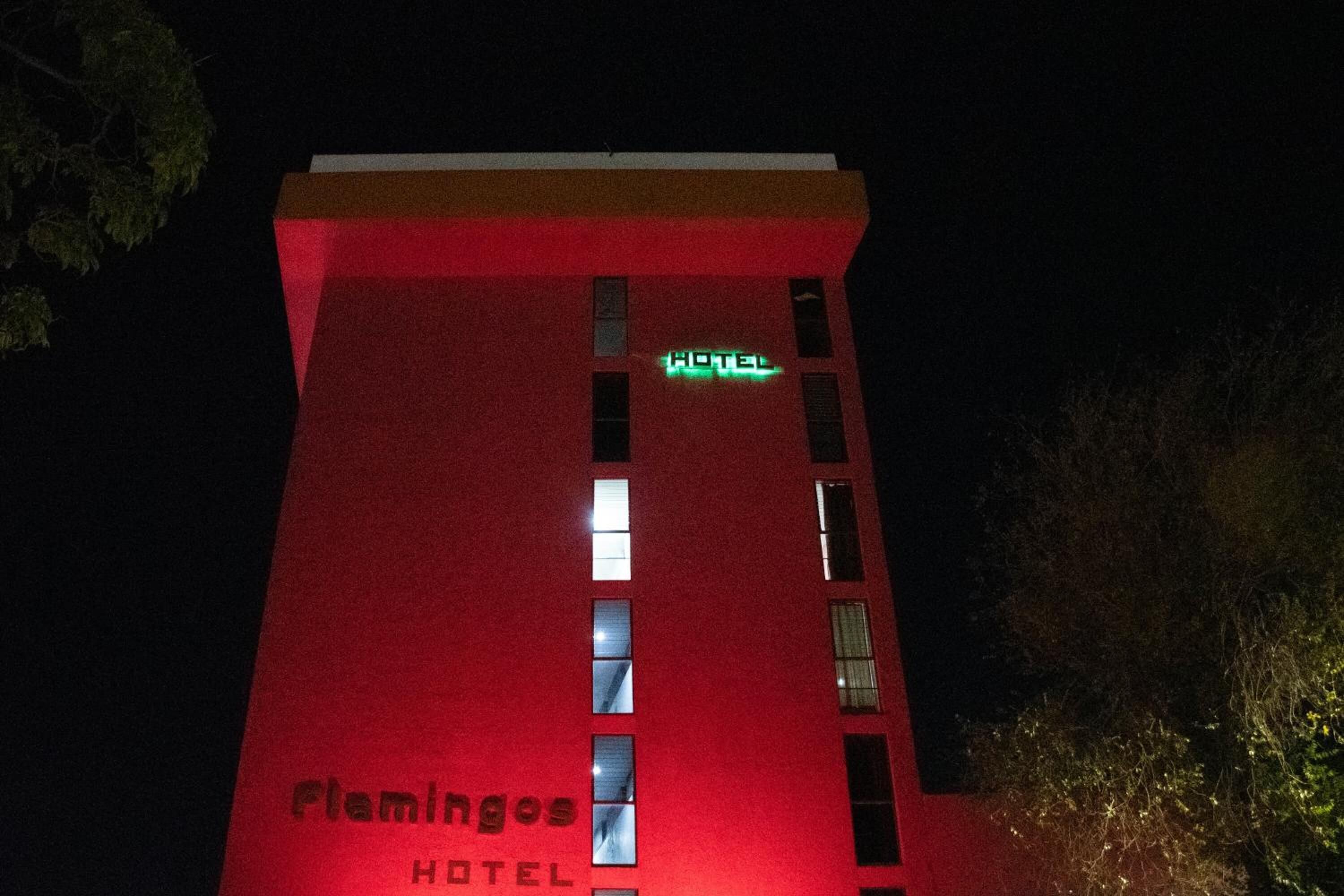 Foto - Hotel Flamingos