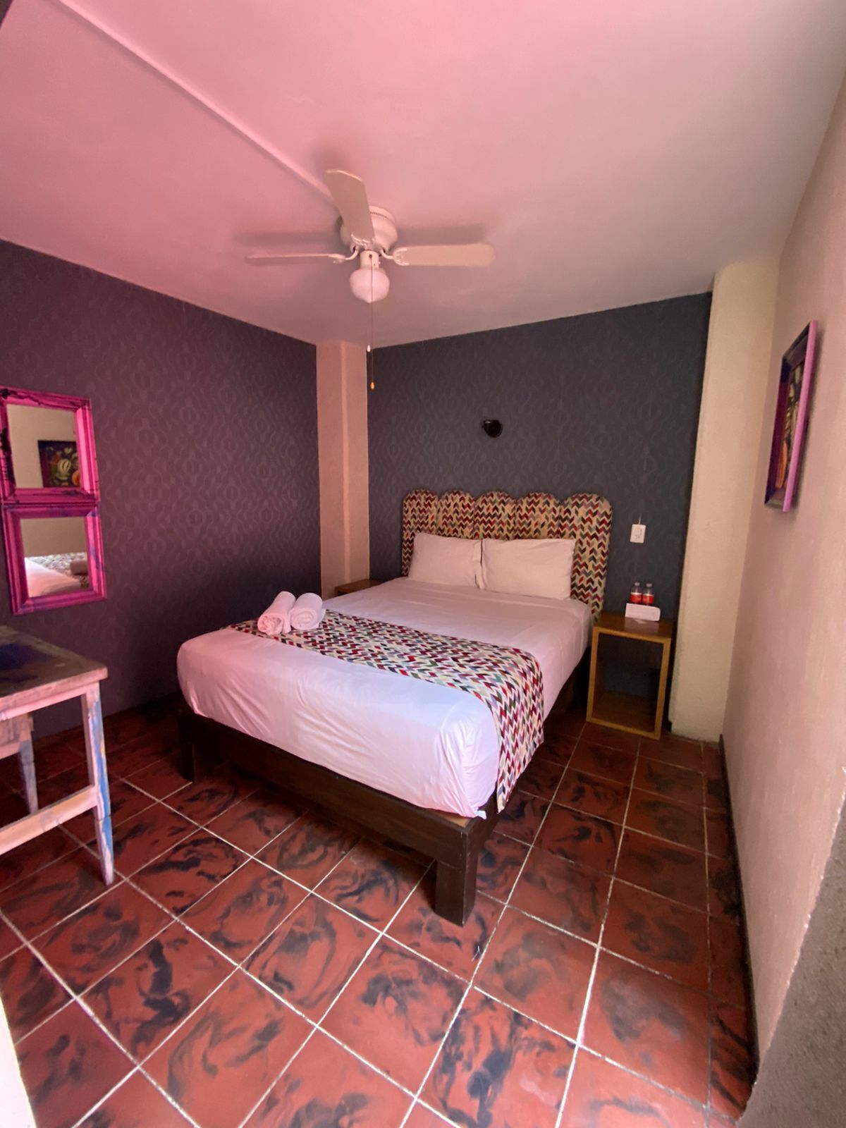 Foto - Hotel Flamingos