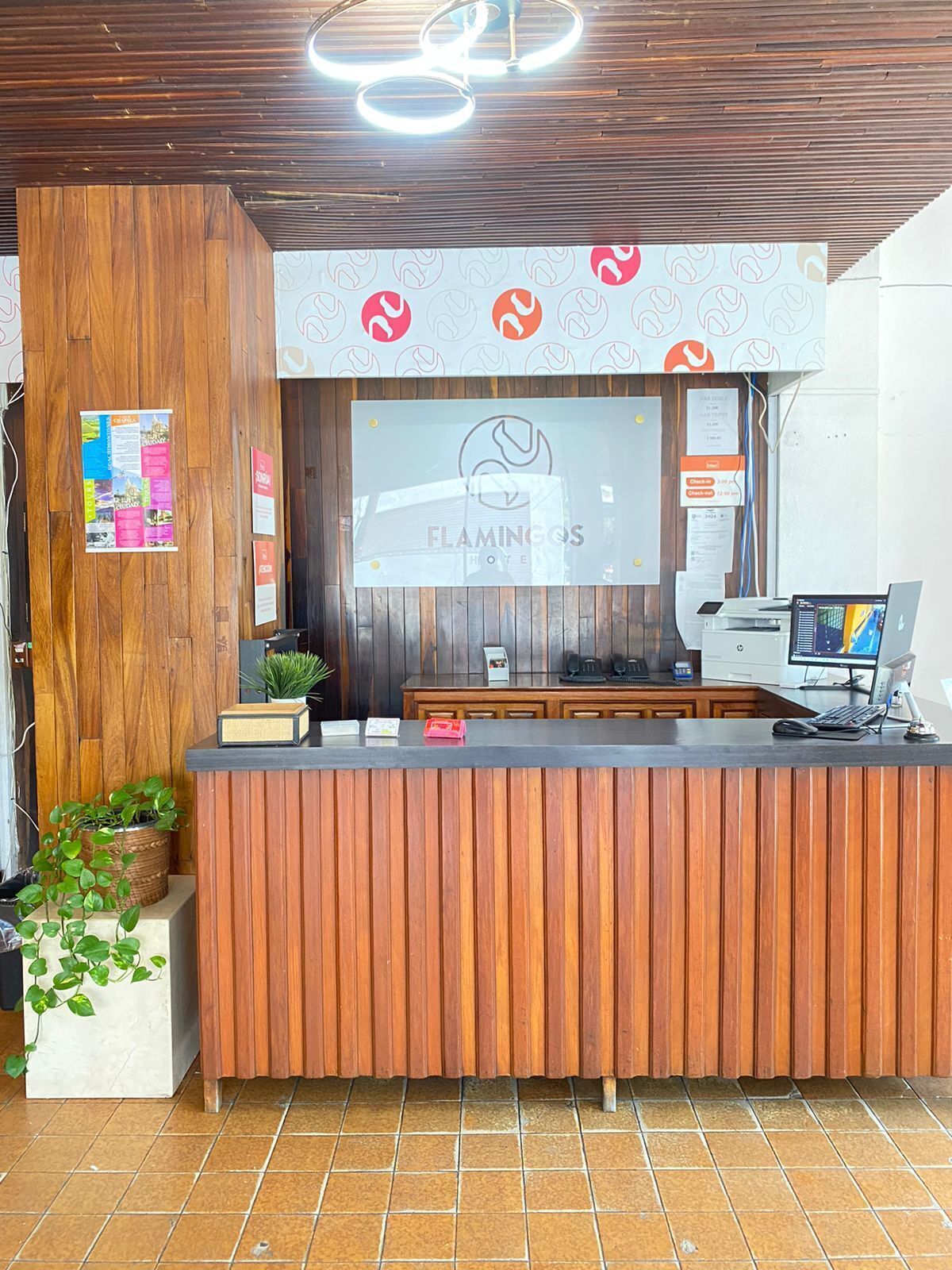 Foto - Hotel Flamingos