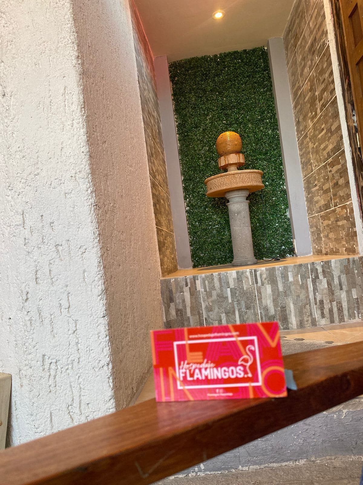 Foto - Hotel Flamingos