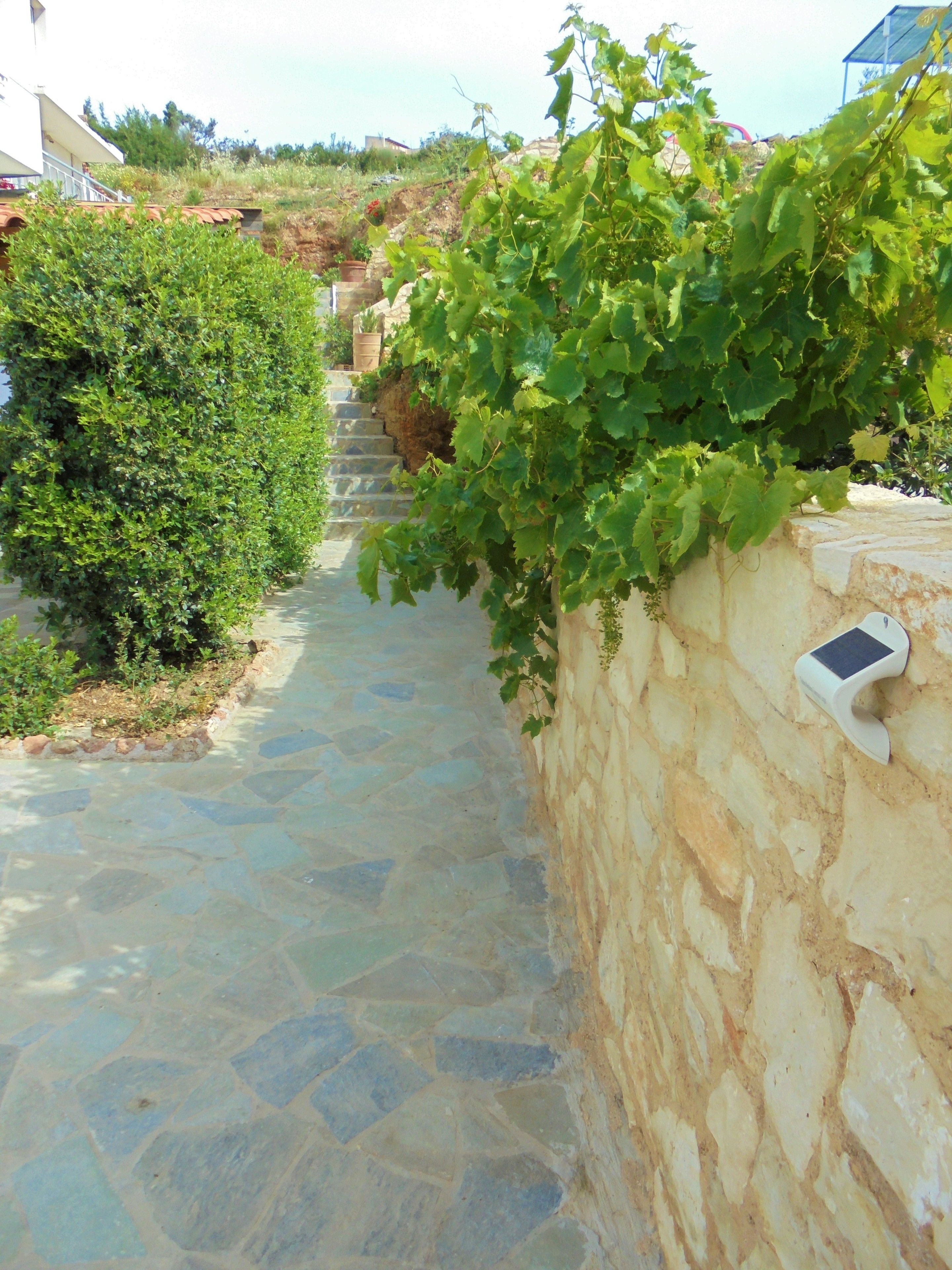 Un sendero de piedra asciende por una colina, bordeado por follaje y un muro de piedra con un dispositivo de energía solar.