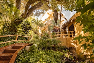 Jardín