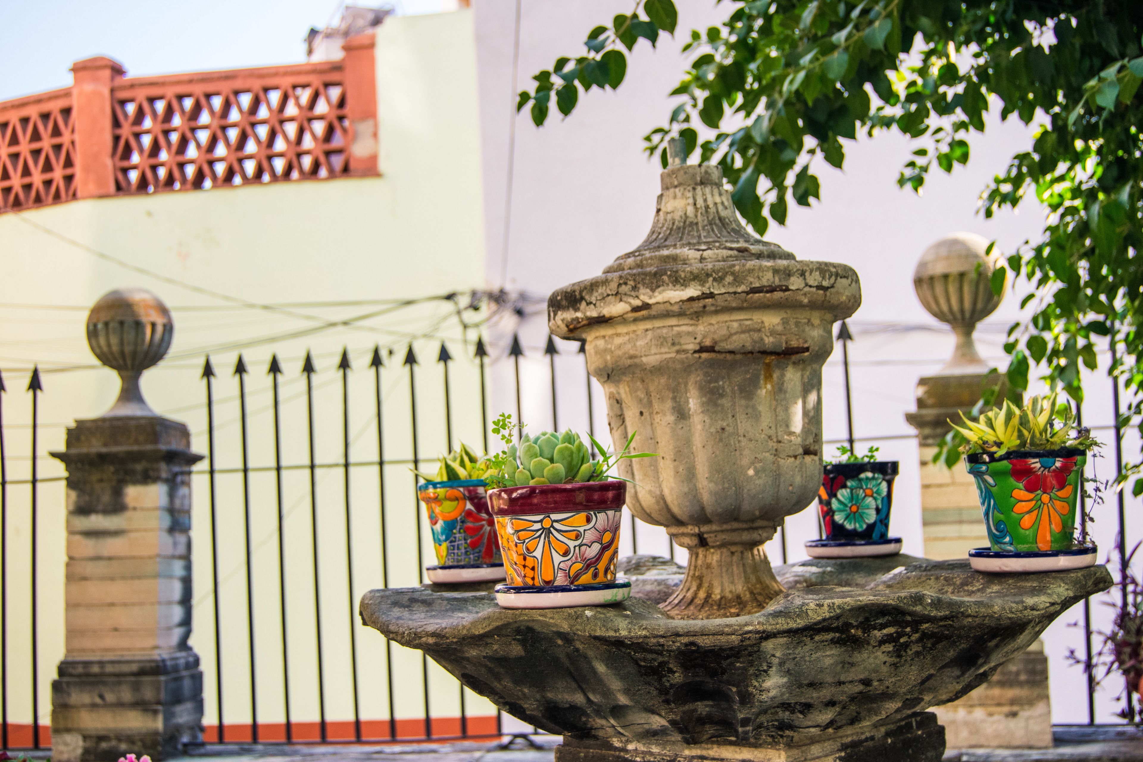 Photo - Casa Lupita Hostel