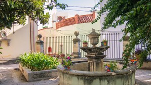 A courtyard with a fountain, potted plants, and a white building with a red door in the background.