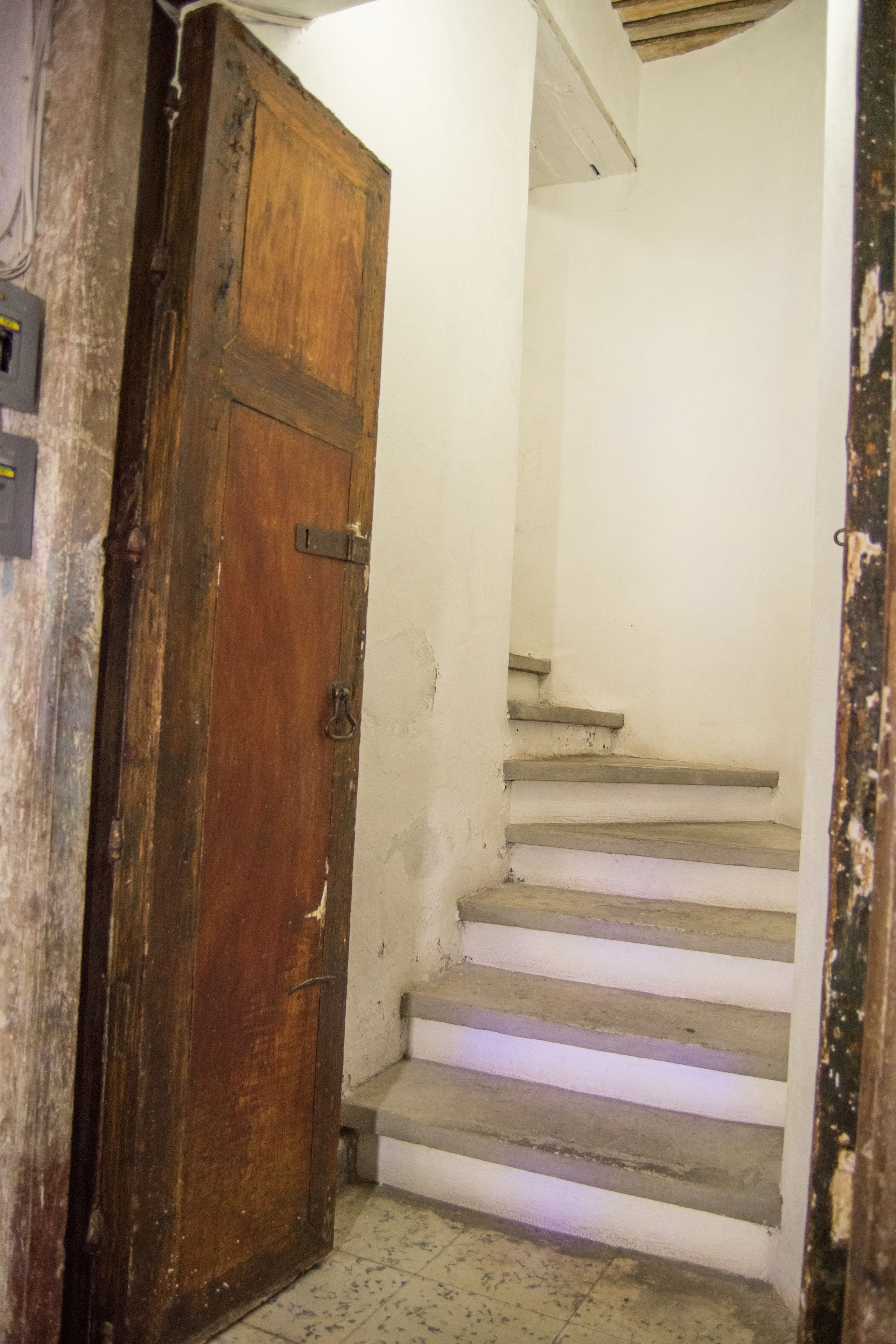 Photo - Casa Lupita Hostel