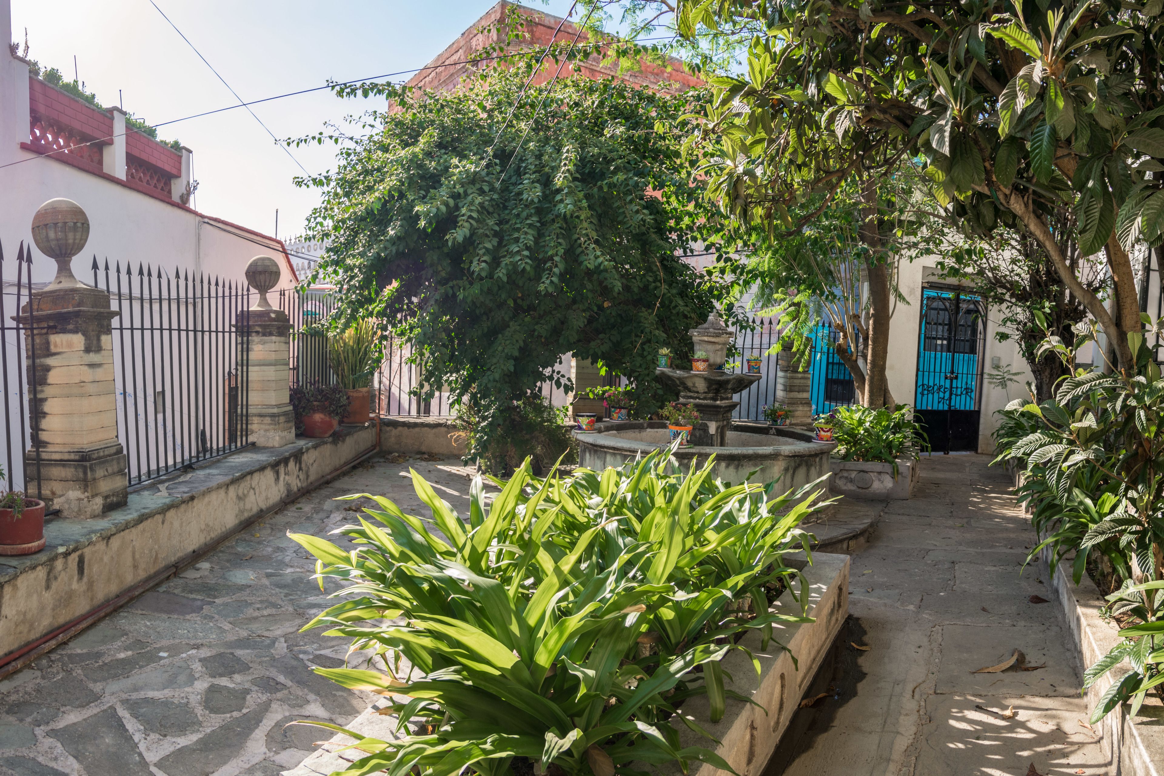 Photo - Casa Lupita Hostel