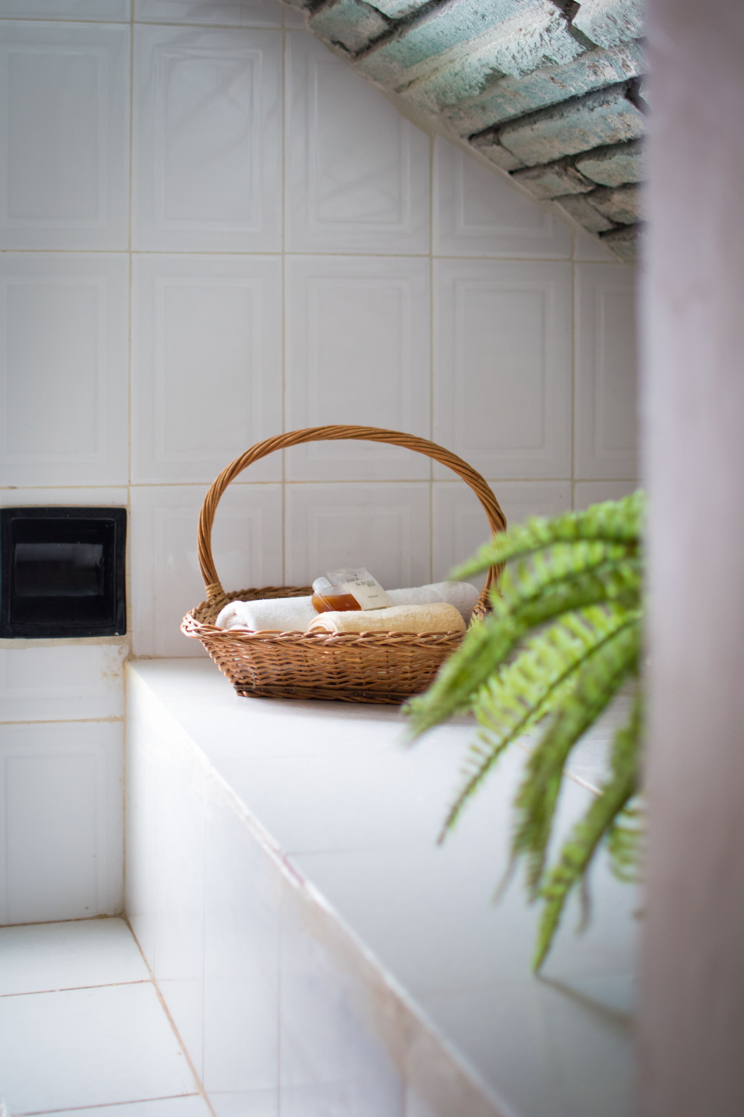 Photo - Casa Lupita Hostel