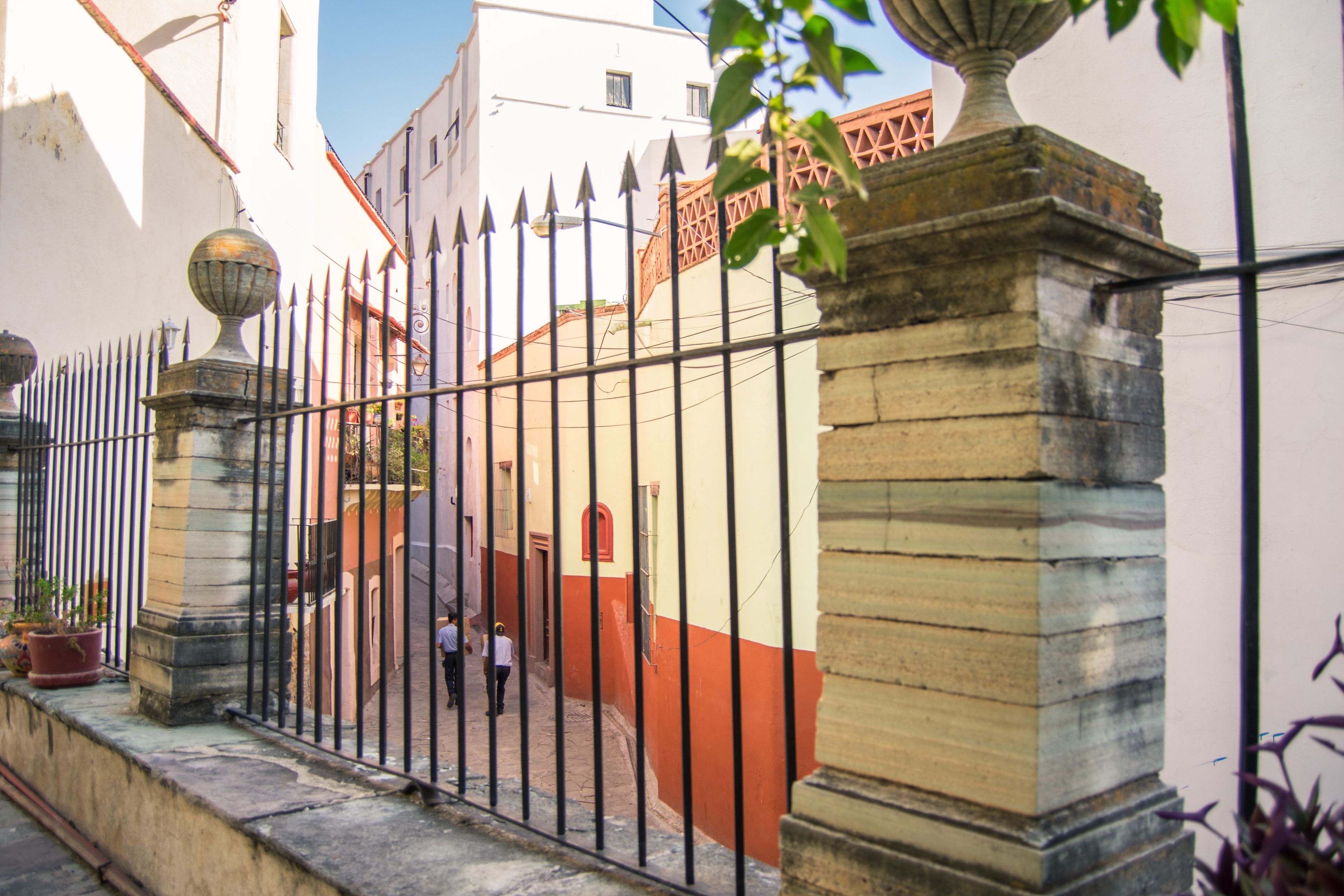 Photo - Casa Lupita Hostel