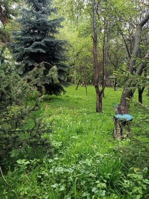 Garden - Kok-Tobe Almaty Hotel (Almaty)