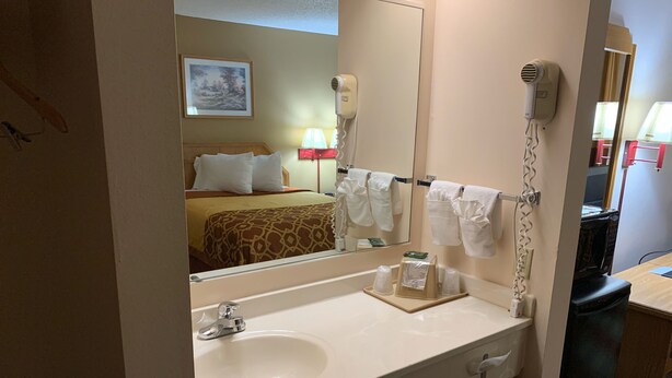 A hotel bathroom with a sink, mirror, towel rack, and a hairdryer.