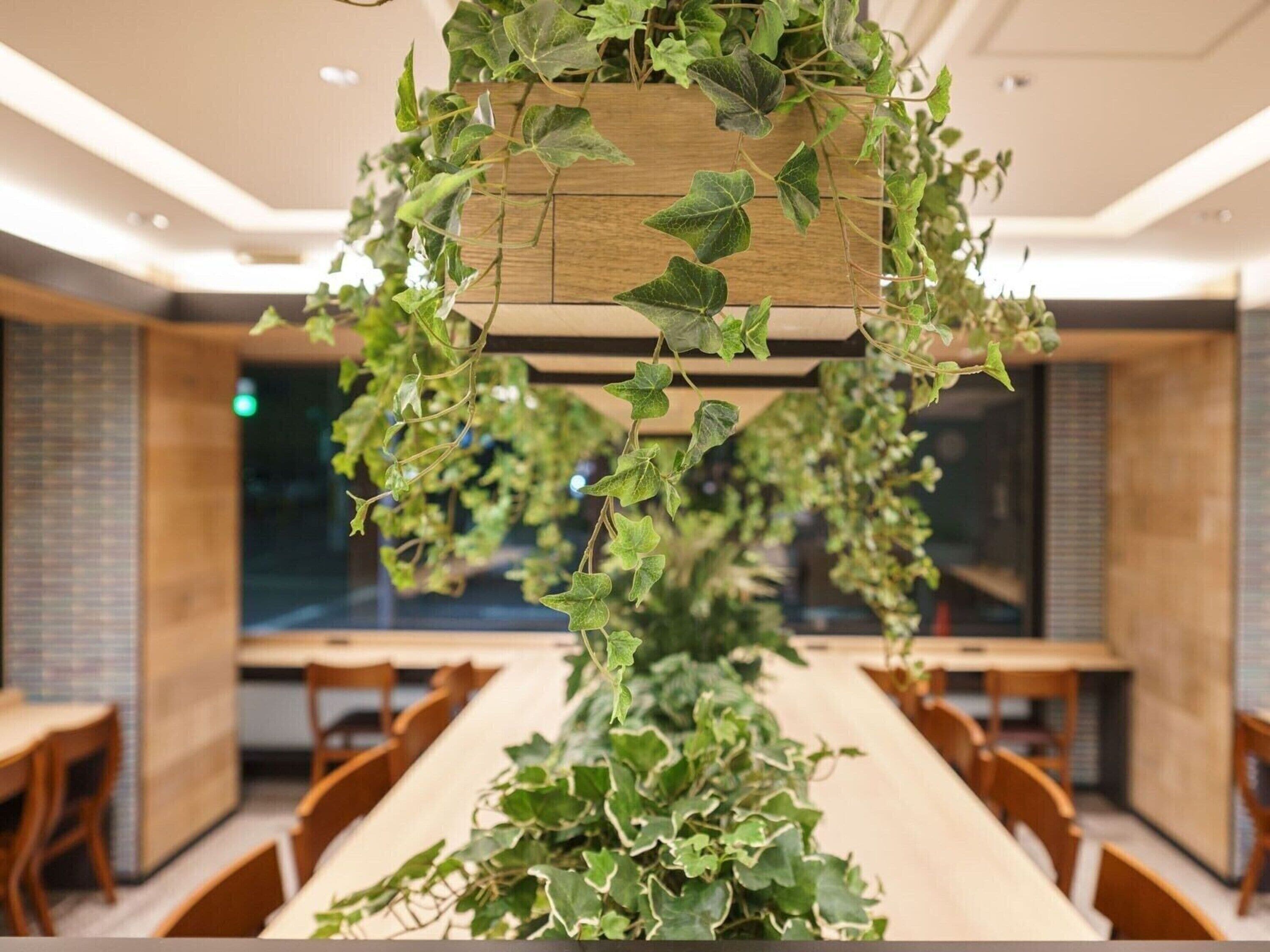 Photo - Super Hotel Umeda Higobashi