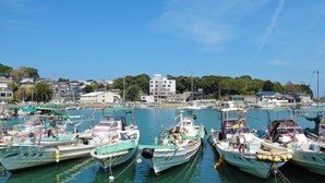 Un puerto deportivo con varias embarcaciones amarradas, un edificio al fondo y un cielo despejado.