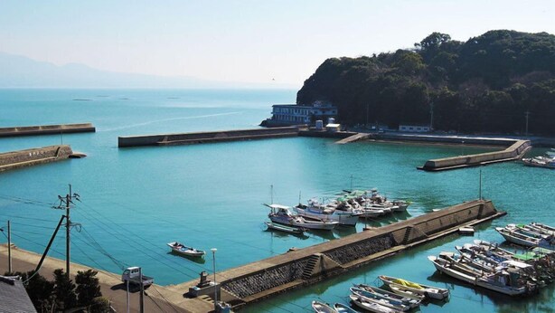 Una marina costera con barcos amarrados, un muelle y un edificio en una colina.