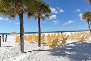 A beach with rows of yellow chairs and palm trees.