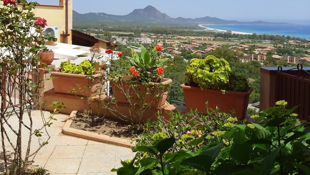 Un jardin sur le toit, agrémenté de plantes en pot, offrant une vue sur un paysage côtier.