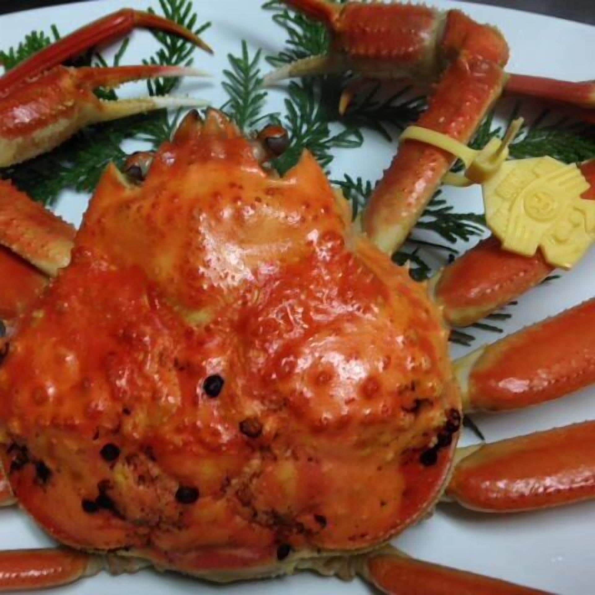 Comida y bebida