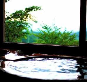 Interior - Hise Onsen Tenga Sanso (Minamioguni)