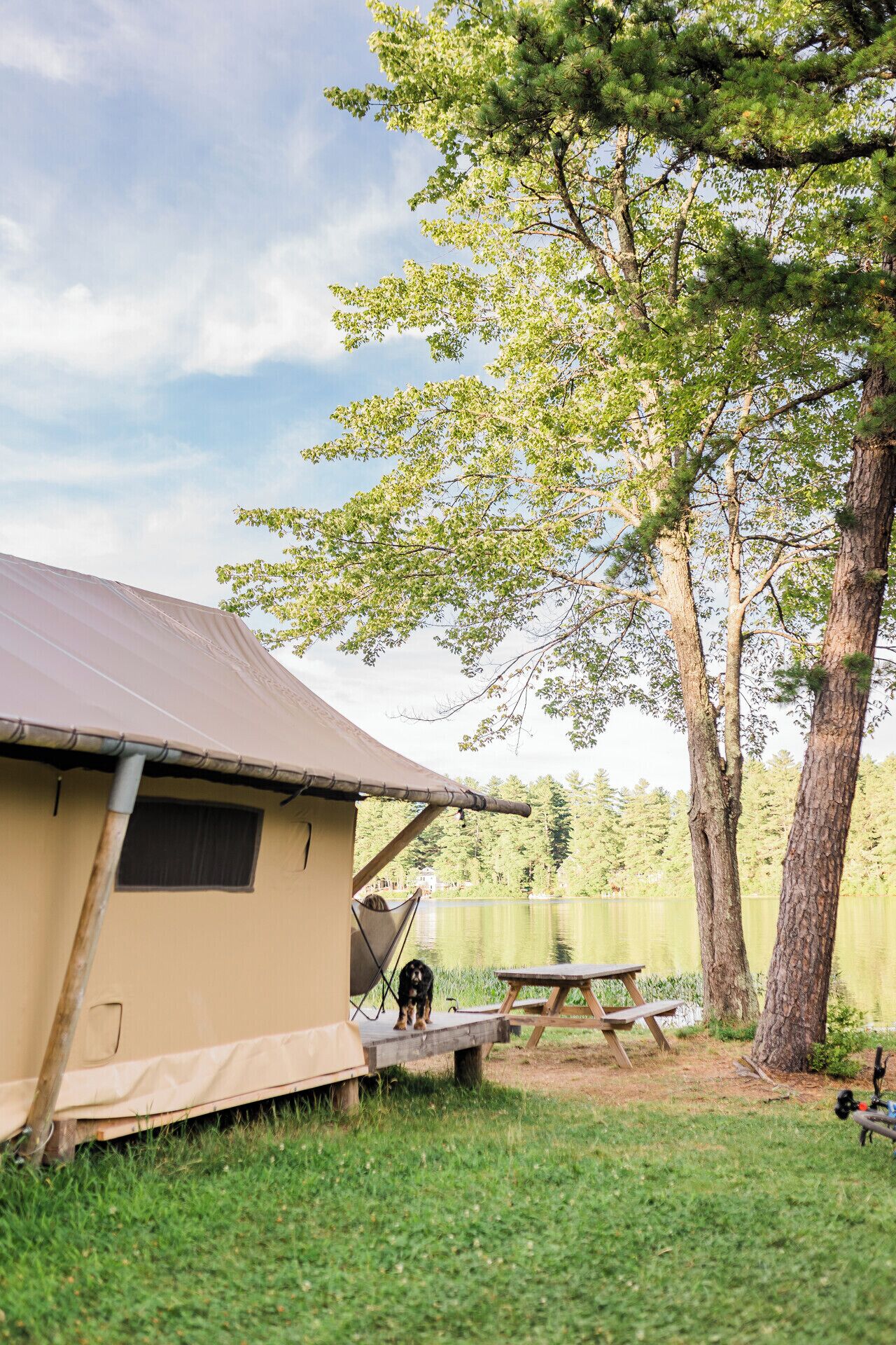 A camping site with a tent, a picnic table, and a dog.