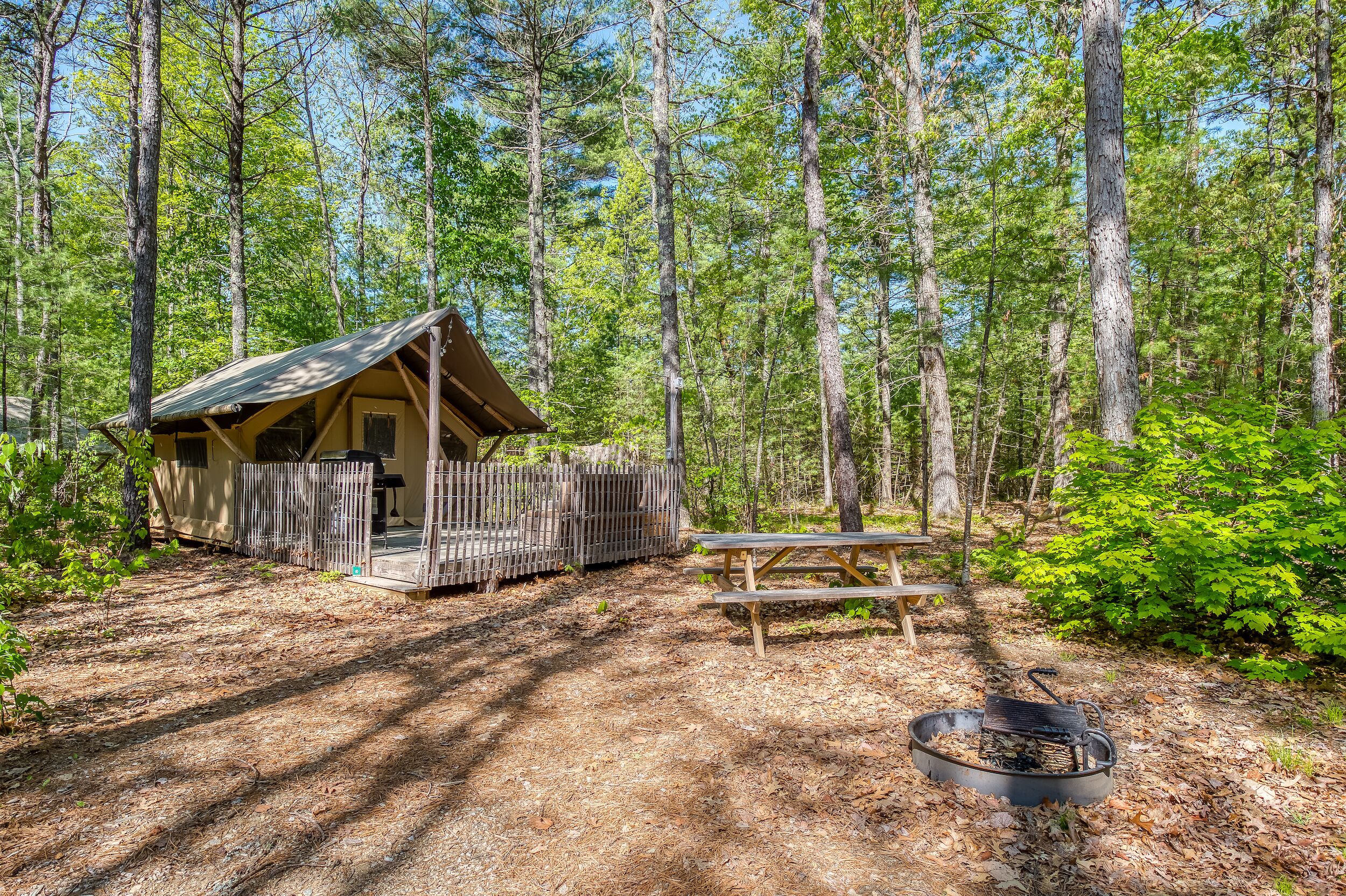 A rustic cabin with a wooden deck and picnic table, surrounded by dense forest.