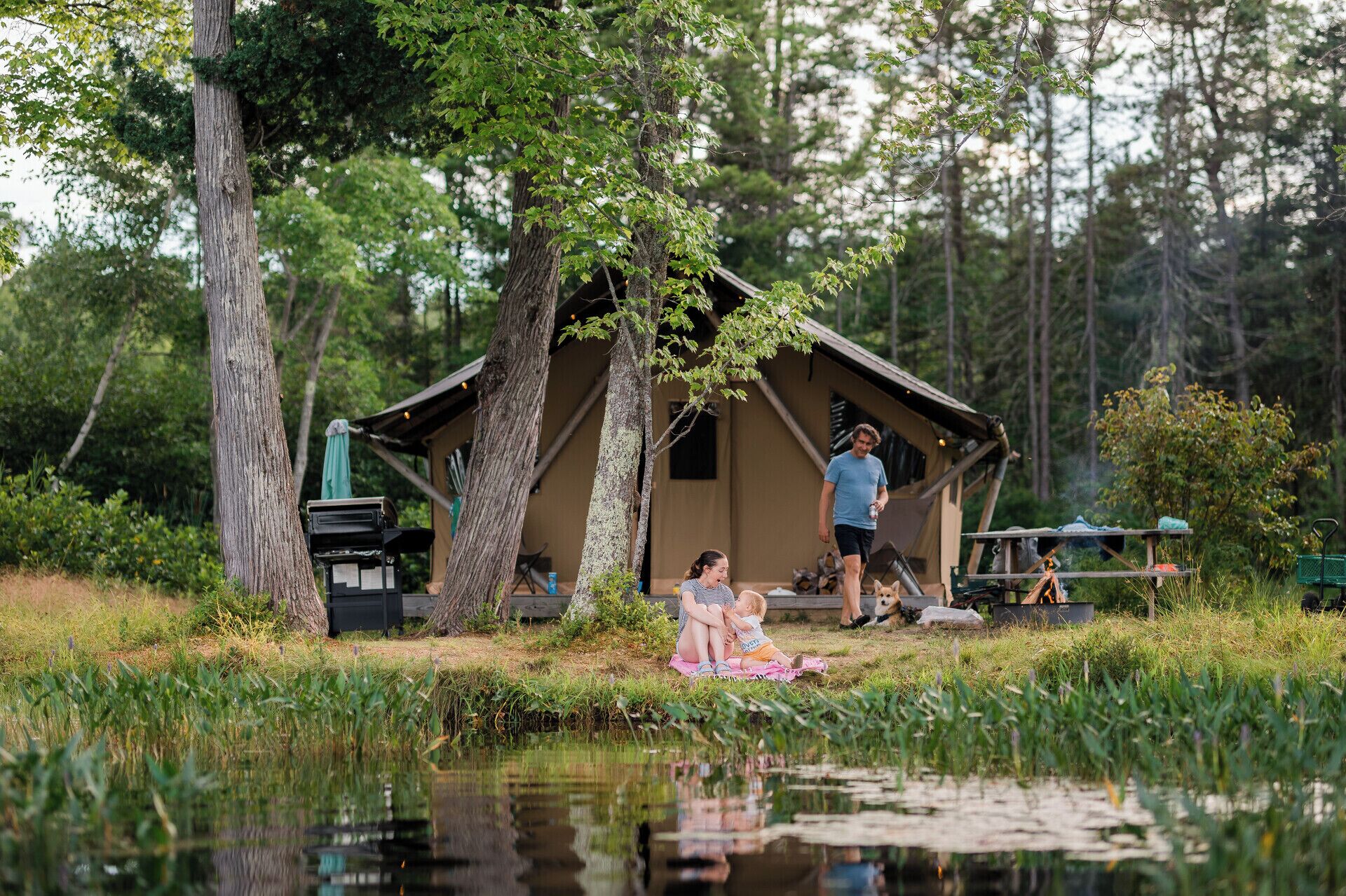 Panoramic Tent, Multiple Beds