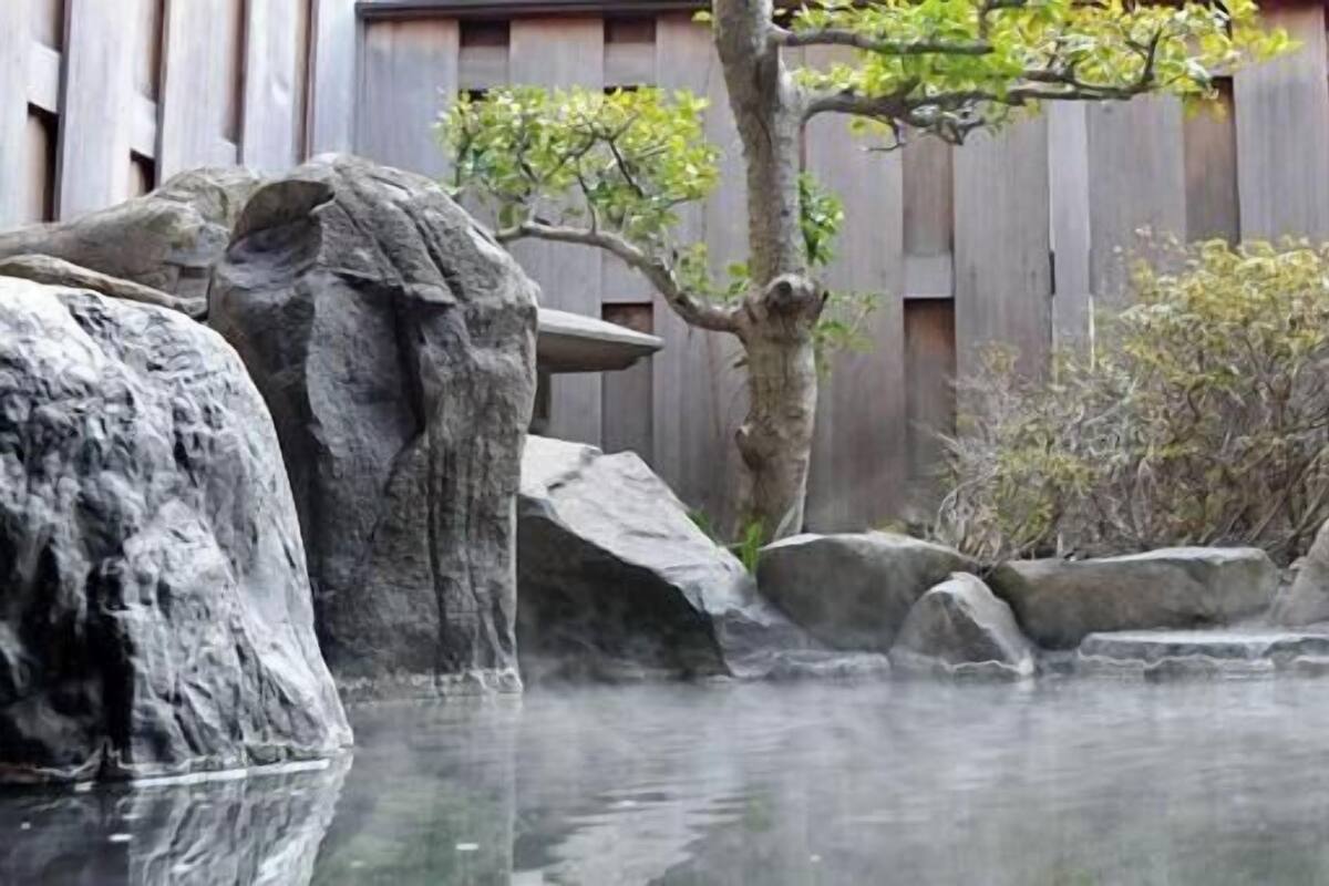 Un jardín de rocas con una valla de madera, un árbol y una pequeña cascada.