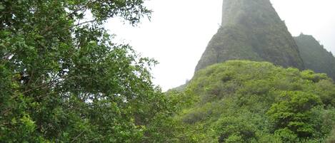 A sign indicating the Iao Needle's elevation at 2250 ft.