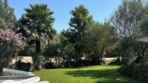 A garden with a paved walkway, green grass, and various trees. - La ZÚA Rural Cottage in the Molino el Vado estate (Villamartin)