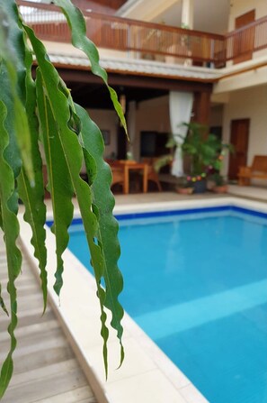 Outdoor pool - Amalia Apartments (Paramaribo)