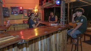 Een bar met houten toonbanken en stoelen, een plank met flessen, en een decoratieve plant.