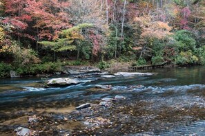 A river flowing through a forest with autumn-colored trees.
