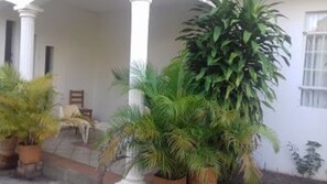 Relax in a serene indoor space surrounded by lush potted plants and a prominent palm tree.