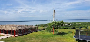 Ngoại thất