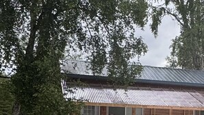 Eksteriør