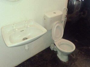 Ducha, toallas, jabón, papel higiénico