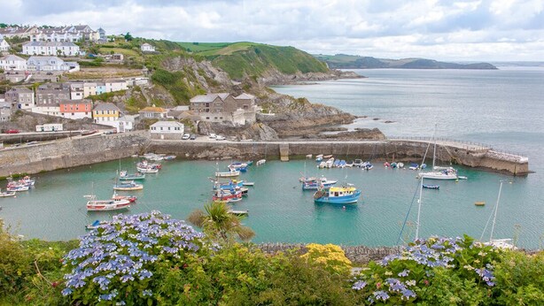 A coastal town with a harbor filled with boats, houses on a hillside, and a stone breakwater.