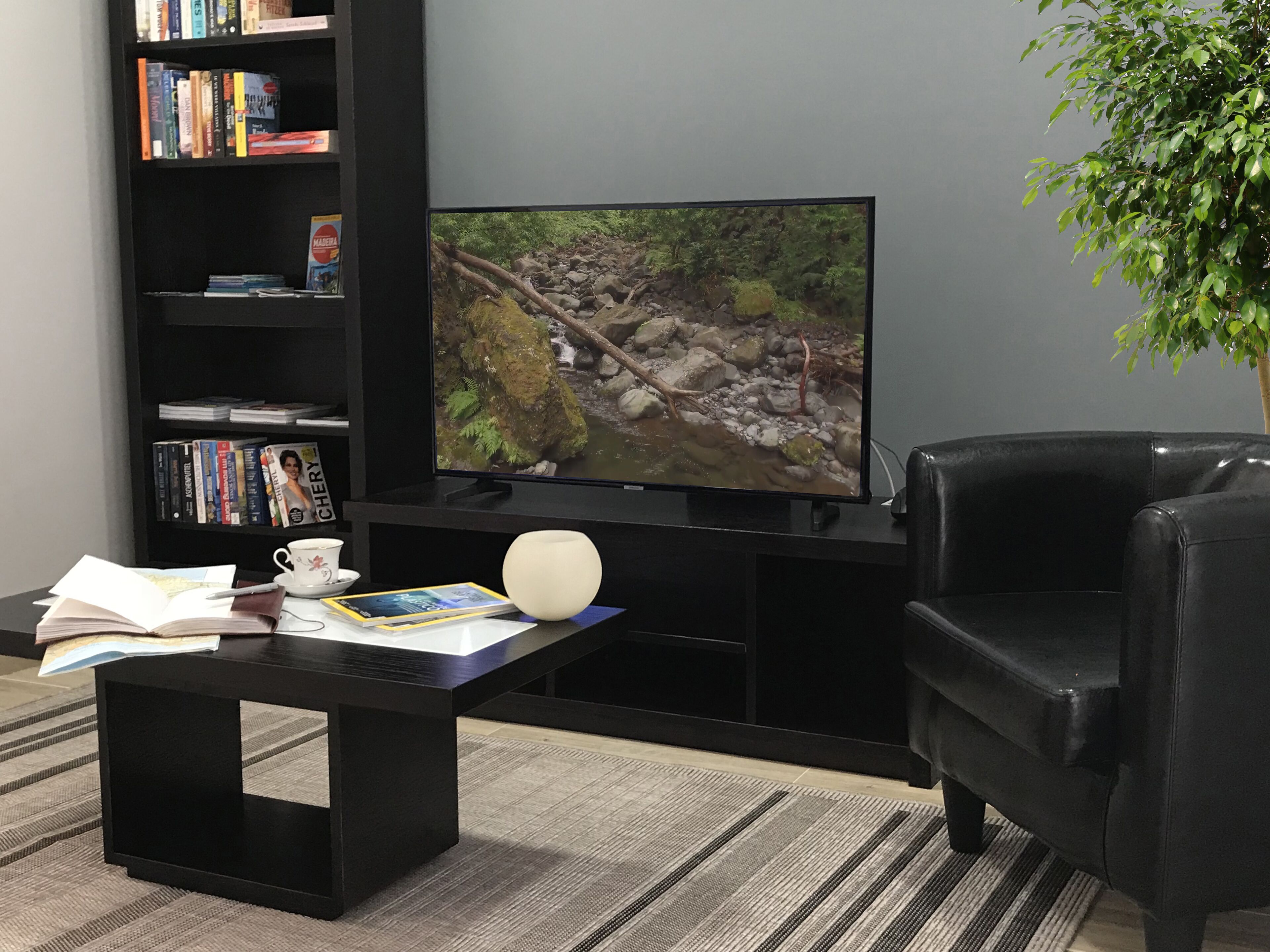 A living room with a black entertainment unit, a flat-screen TV, a black leather sofa, a coffee table with books and a cup, and a potted plant.