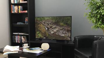 A living room with a black entertainment unit, a flat-screen TV, a black leather sofa, a coffee table with books and a cup, and a potted plant.