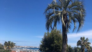 Una piscina con agua azul cristalina, rodeada de palmeras y vistas a un puerto deportivo y edificios a lo lejos.