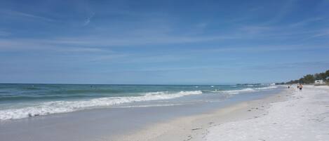 Plage à proximité, chaises longues, serviettes de plage