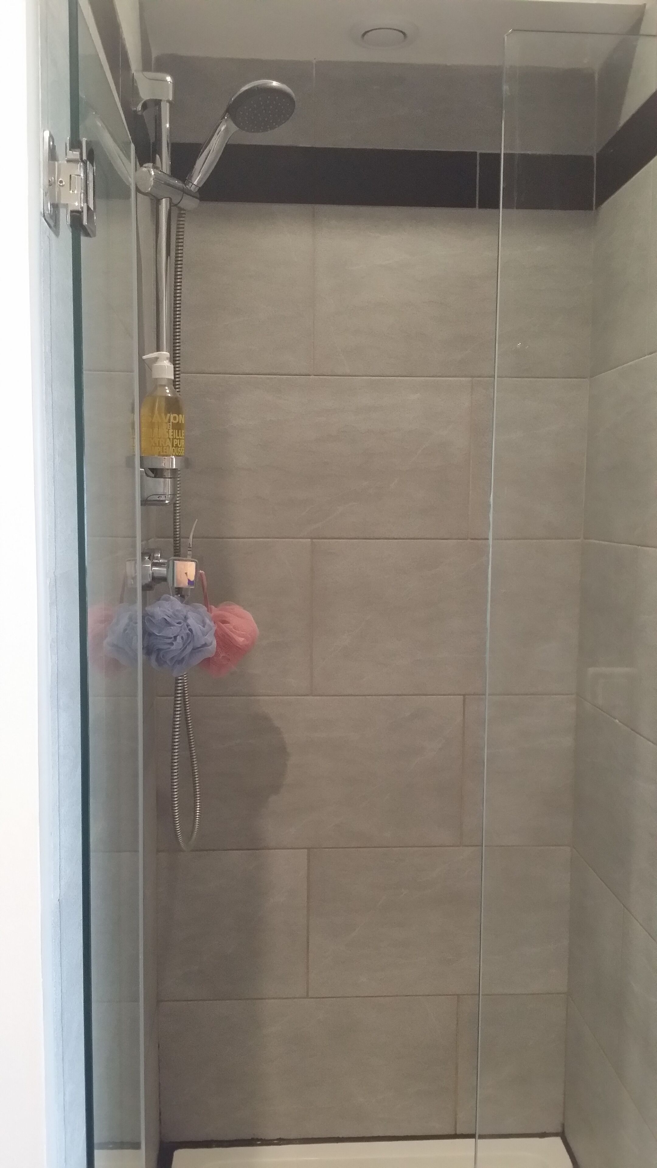 A shower with a glass door, a handheld showerhead, and a bottle of shampoo.
